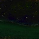 별빛소나타 이미지