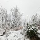 중앙1길~우암로 이미지