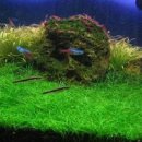 유경통상 이미지