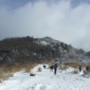 깜상 - 광명시 새터로121번길 10 | 깜상
