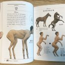 순화 이미지
