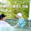 회천2동 무료경로식당 | 예산 스플라스 리솜 호캉스 가족여행 S30 워터파크 리뉴얼 후기