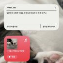새샘초등학교 | _