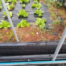 공이농장 이미지