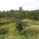 남원읍-17 이미지