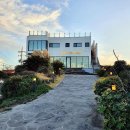 더세화리투스 | 제주 동쪽 숙소, 세화해변 바로 앞 가성비 좋은 더세화리투스 내돈내산 숙박 후기(핑크룸)