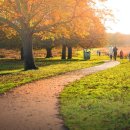 (주)셀바스 이미지