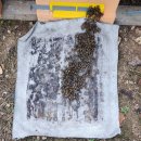 우진파워텍 이미지