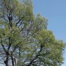 김유정문학마을 이미지