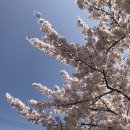 소래역로 18번길 이미지