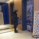 트레블로지 명동 을지로호텔 이미지