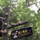 주상절리W 이미지