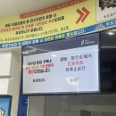 비양도 민박 | 제주도 비양도 백패킹 3대성지 후기 강풍으로 결항 후 운행재개 차량인도