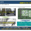인천석정초등학교 이미지
