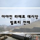 데시앙811공인중개사사무소 | 아야진 라메르 데시앙 104동 필로티 2층 전매 실거주 및 세컨으로도 좋은