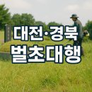 다온조경;농원 | 대구 벌초 대행 서비스 경북 포함 최신 총정리