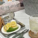 나만의 허브 테라피: 허브 명상 클래스 후기 🌿