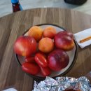 시칠리팬션 이미지