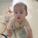여자아기 해외직구 베이비샵 후기 버디앤호프 등 사이즈 팁