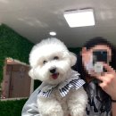 주인아 까까사줘 이미지