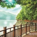 장성호국민관광지 이미지