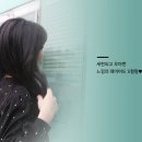 컬리블리