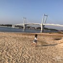 태안-안면-비상-11 | 태안 방문의 해 꼭 가볼 만한 태안여행 추천 코스 TOP 5