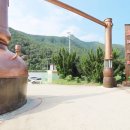 영동 와인삼겹살거리 이미지