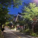 오늘닭발해 경주불국사점 네이버블로그