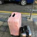 도쿄시스터 이미지