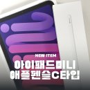 2024 아이패드 미니 A17 Pro + 애플펜슬 USB-C 조합, 밖에서 쓰기 딱!