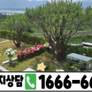 신기수목장 | 대구수목장 안내 후기｜현장에서 확인한 관리 방식과 특징