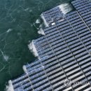 남성 태양광발전소 이미지