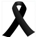 수성메디칼 이미지