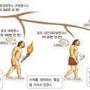 Ⅰ-2. 인류의 출현과 선사 문화의 발전 ① 인류는 언제 나타나고 어떻게 진화하였을까? 이미지