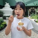 플레어비다산