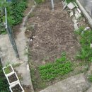 평화동017 이미지