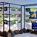 국립DMZ자생식물원방문자센터 이미지