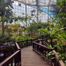 곤충생태관_4 이미지