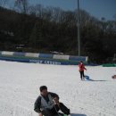 고고씽 이미지