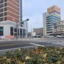 포스코더샵공인중개사사무소 이미지