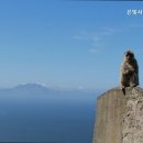 따뜻한요양원
