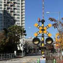 푸른빛작은도서관 | 서울서부 아이와 가기 좋은 곳(푸른수목원, 항동푸른도서관)