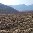 드림스포츠센터 이미지