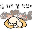 중앙로복국 이미지