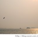 고대도2 이미지