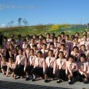 와석초등학교 이미지