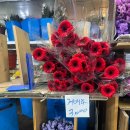 반송1동골목시장상가 | 💐 남대문 꽃 시장, 대도 꽃 도매상가 꽃다발 포장 후기 (+꽃 시세, 셀프 꽃 조합 꿀팁, 포장가게)