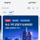 멍멍아 여기어때 이미지