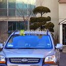 대청로116번길 이미지